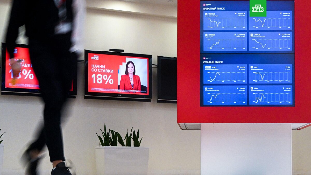    Фото: РИА Новости © 2024, Сергей Гунеев