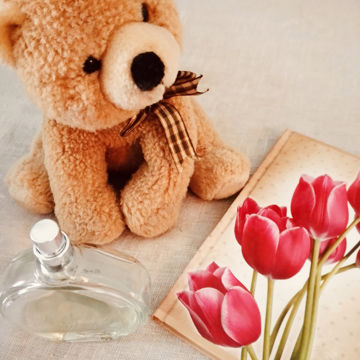 Фото Дарьи Глен