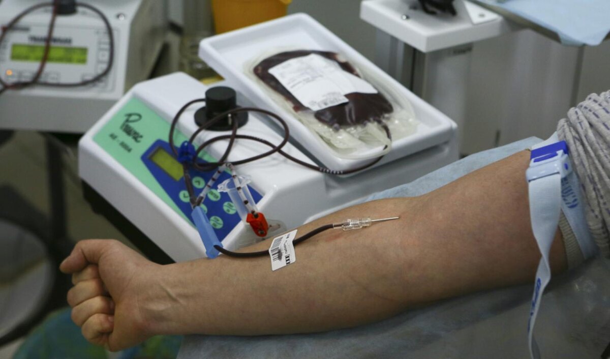    Проекты Службы крови Югры признали лучшими в России