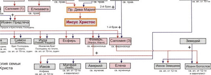 Фрагмент генеалогии земной родни Иисуса Христа (изображение с «Русской народной линии», беседа с автором книги «Господь Иисус Христос в семье, среди близких и учеников»)