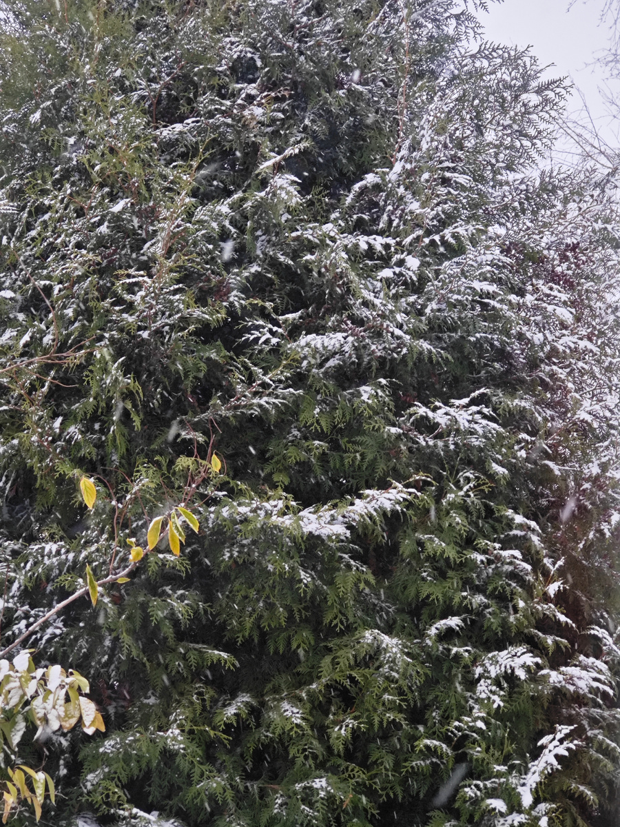 Просто для заставки. Фото автора канала 