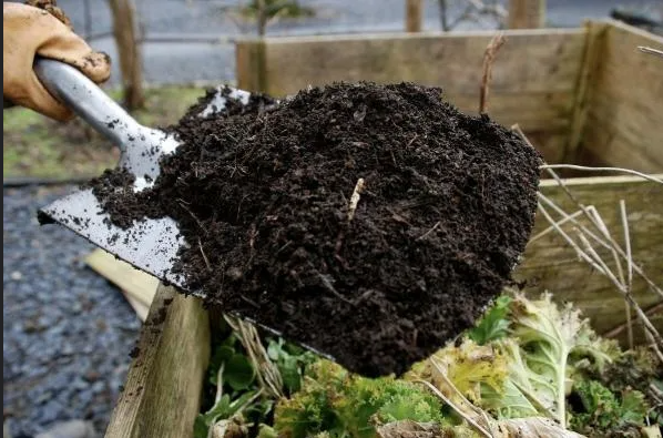 Вот так и происходит заражение: наклоняясь над компостом, мы вдыхаем аспергиллы