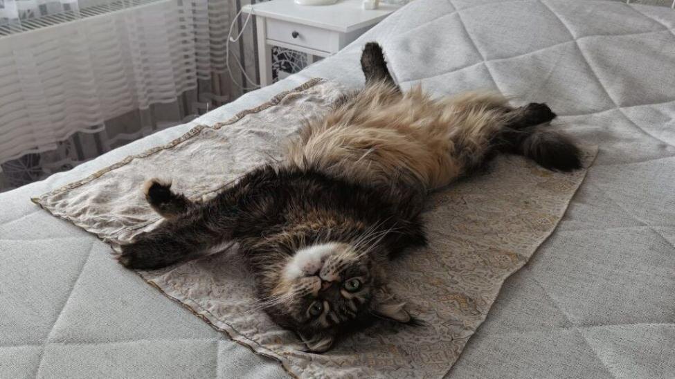    Фото из архива редакции