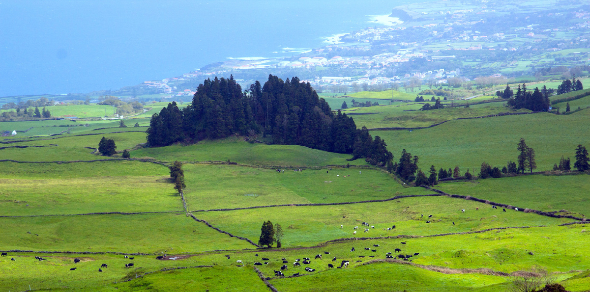 Из открытых источников.