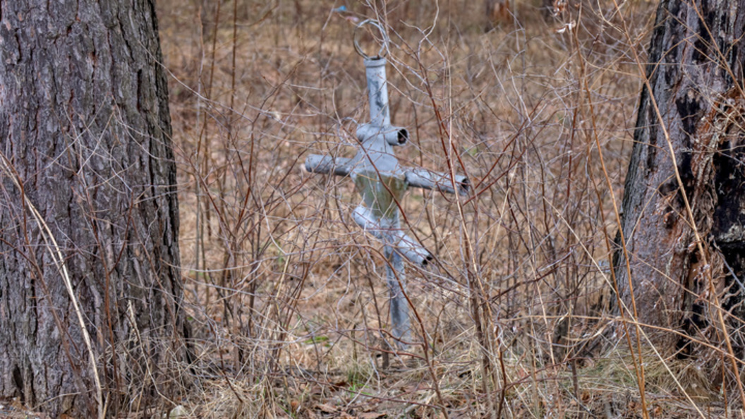    ФОТО: ELENA MAYOROVA/GLOBAL LOOK PRESS