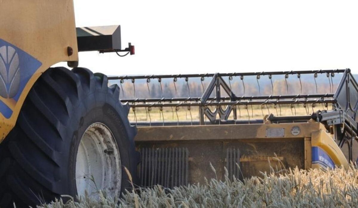     Сбор урожая. Источник: midural.ru Автор фото: Пресс-служба правительства Свердловской области