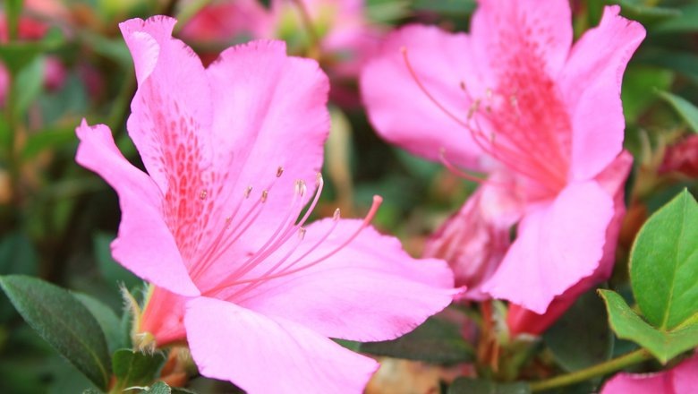 Источник: Shutterstock