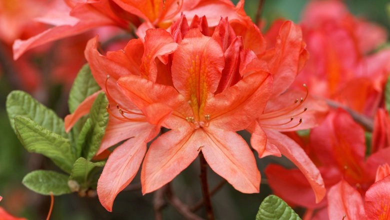 Источник: Shutterstock