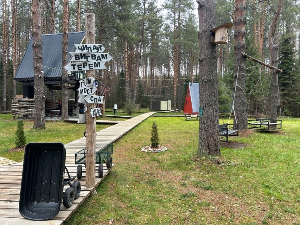    Фото: Управление Россельхознадзора по Кировской области, Удмуртской Республике и Пермскому краю Полина Анкушина