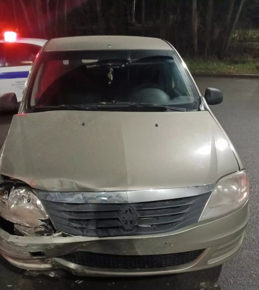     Источник: Госавтоинспекция Петрозаводска / vk