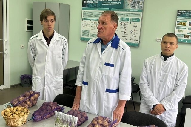    Фото:  АиФ/ Владлена Курылева