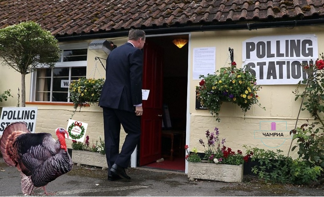 #english_idioms #идиомы_на_английском #like_turkeys_voting_for_Christmas #как_индейка_голосующая_за_Рождество 