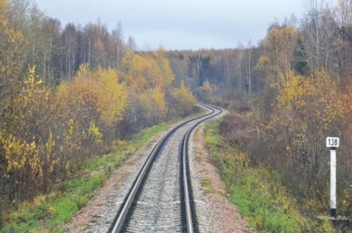    Более 137 км «бархатного» пути уложено на ГЖД с начала путеремонта