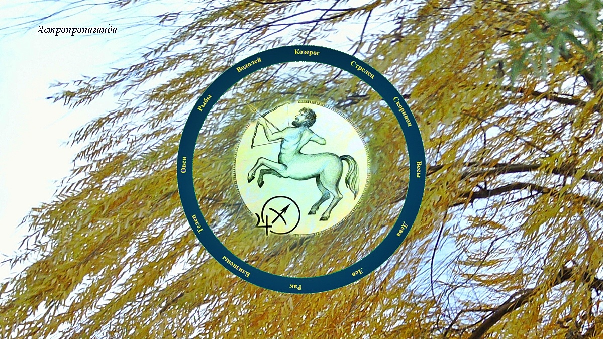 Знак Стрельца: гороскоп на ноябрь 2024 | Гороскоп для Стрельца с 4 ноября по 1 декабря 2024. 