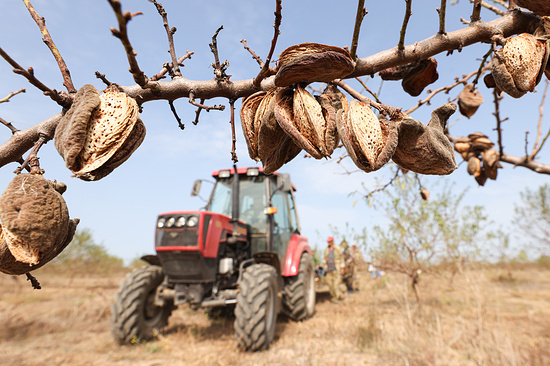 Фото (архив): Сергей Мальгавко/ТАСС 