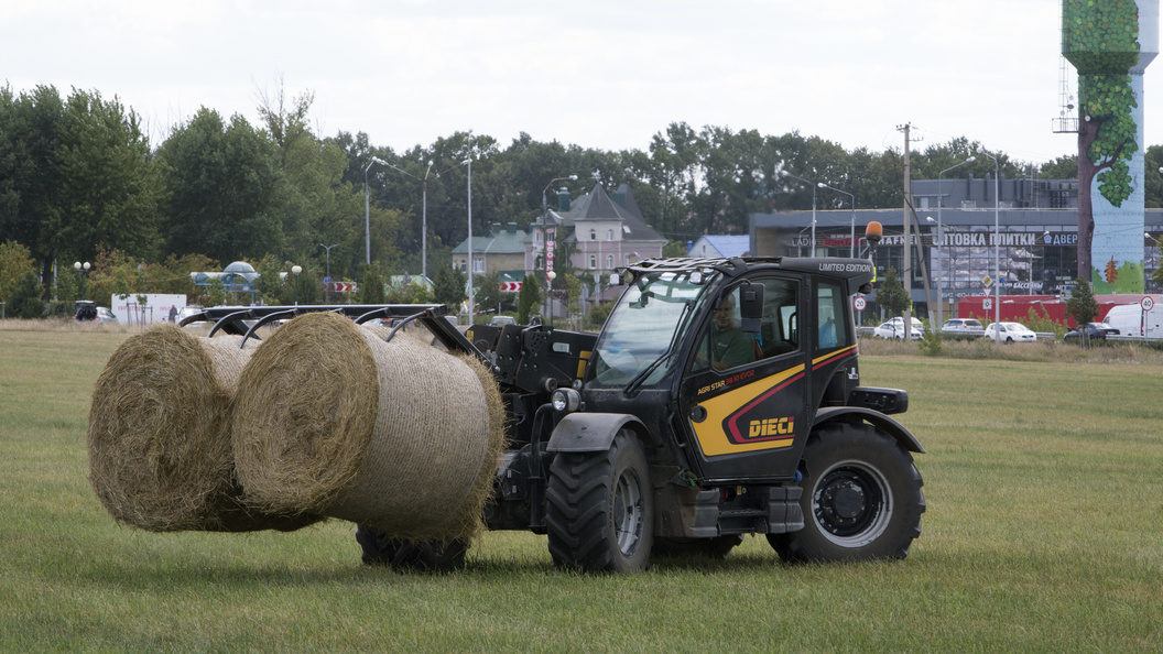    Nikolay Gyngazov/Global Look Press
