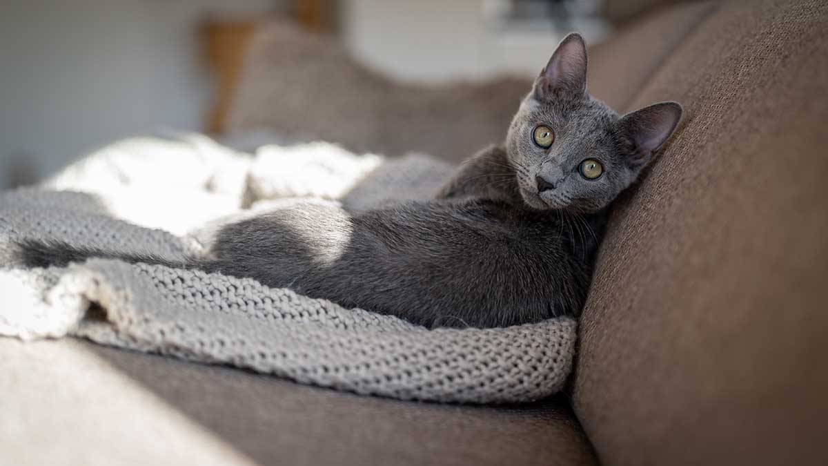    Фото: Shutterstock