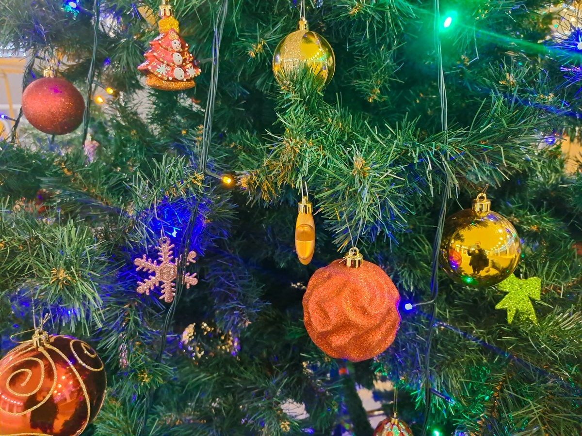 В этом году новогодние праздники в России продлятся 11 дней.  Фото: ФедералПресс / Вера Романескул