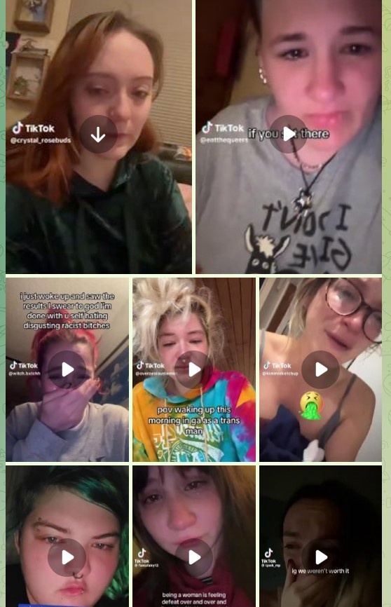    Нервы сдали у либералов, голосующих за Харрис. Бежать из "самой лучшей страны в мире" некуда. Скриншот: телеграм-канал "Бутылка"