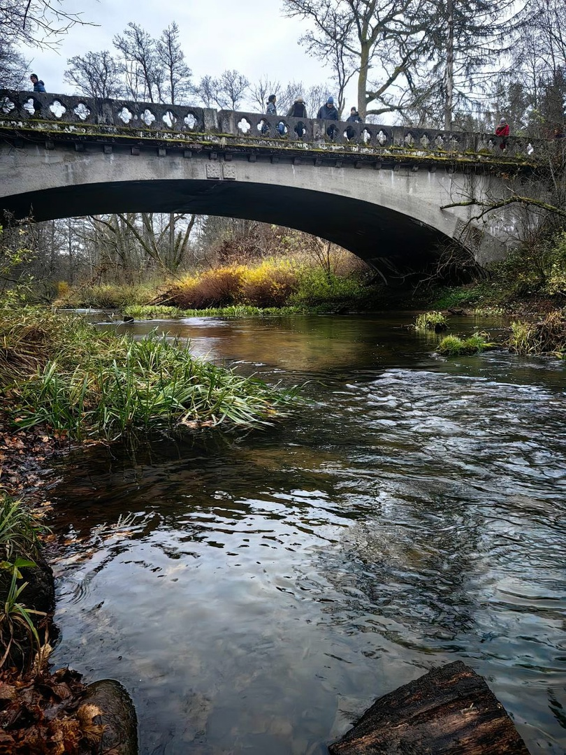 Фотография предоставлена участником выезда клуба Заброшки39