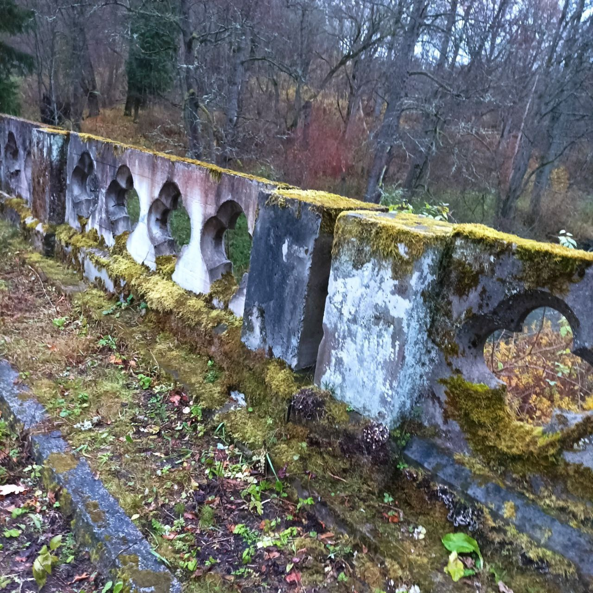 Фото участника клуба Заброшки39