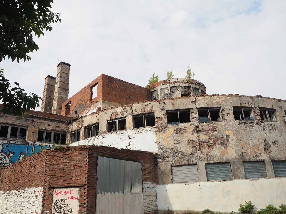 Фото: Жемчужный гид