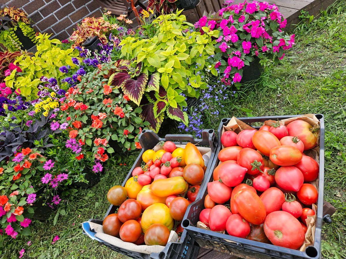 Я всегда честно показываю не только свои успехи, но и неудачи