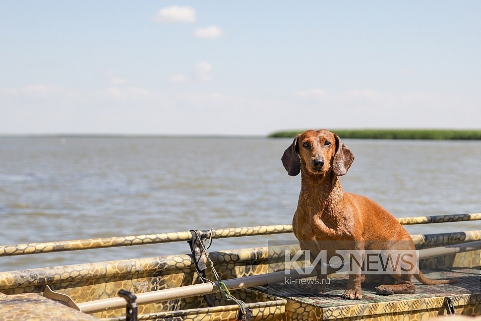 Фото: "Краснодарские известия"