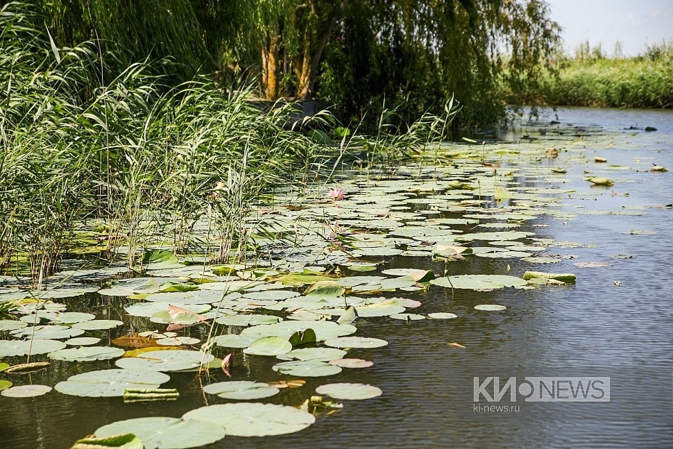 Фото: "Краснодарские известия"