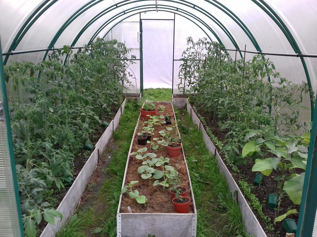 Фото из интернета