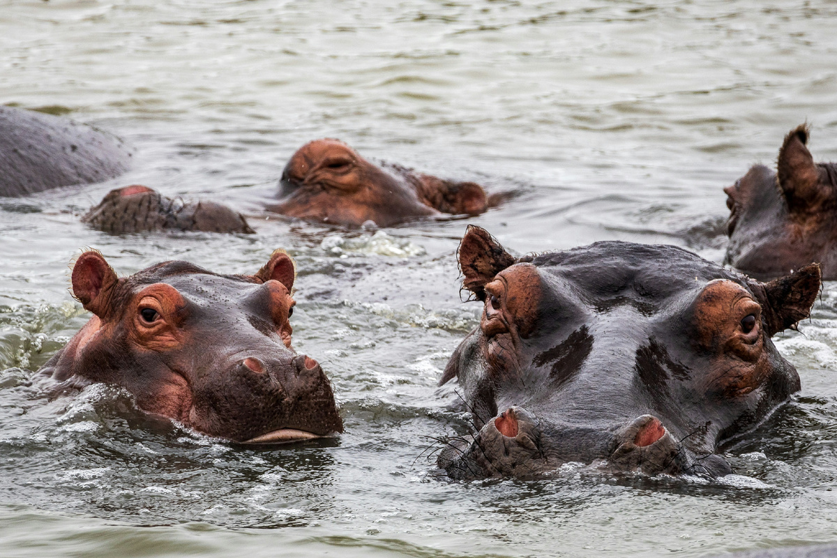Картинка с бесплатного фотостока https://unsplash.com, автор Martijn Vonk