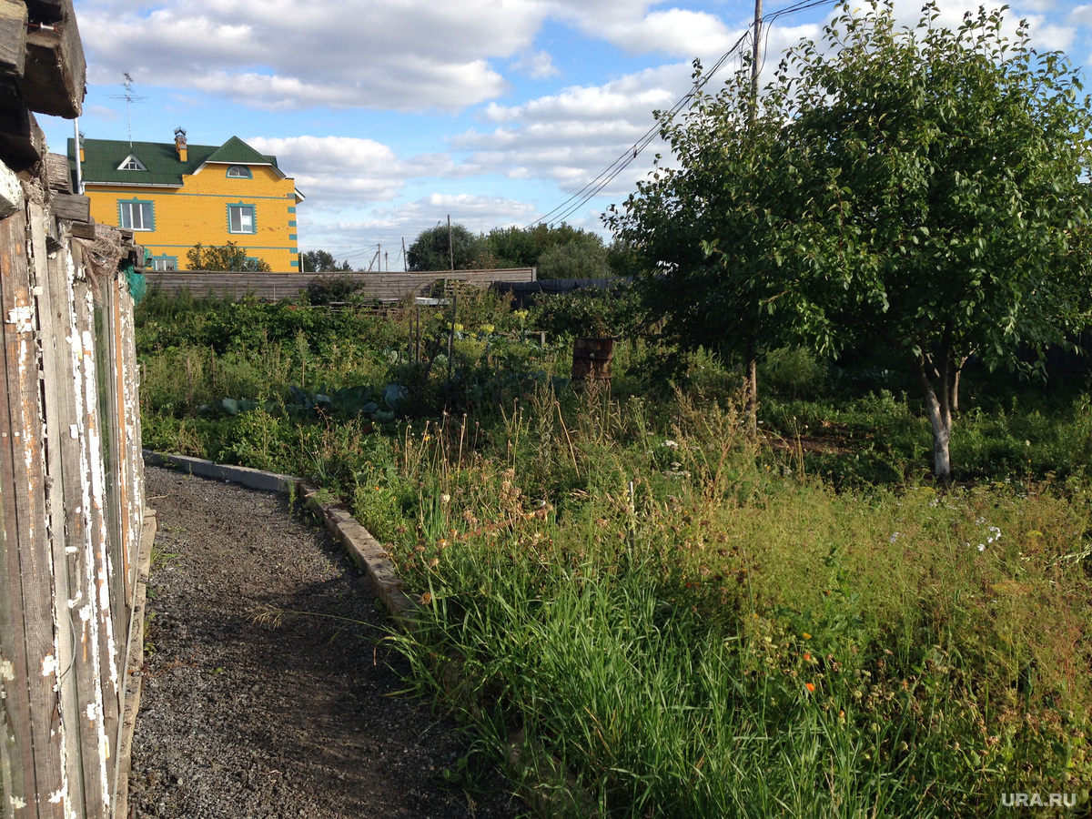 Инспекторы Росреестра оштрафовали собственников участков по ч. 3 ст. 8.8 КоАП. Фото: Лариса Рычкова © URA.RU