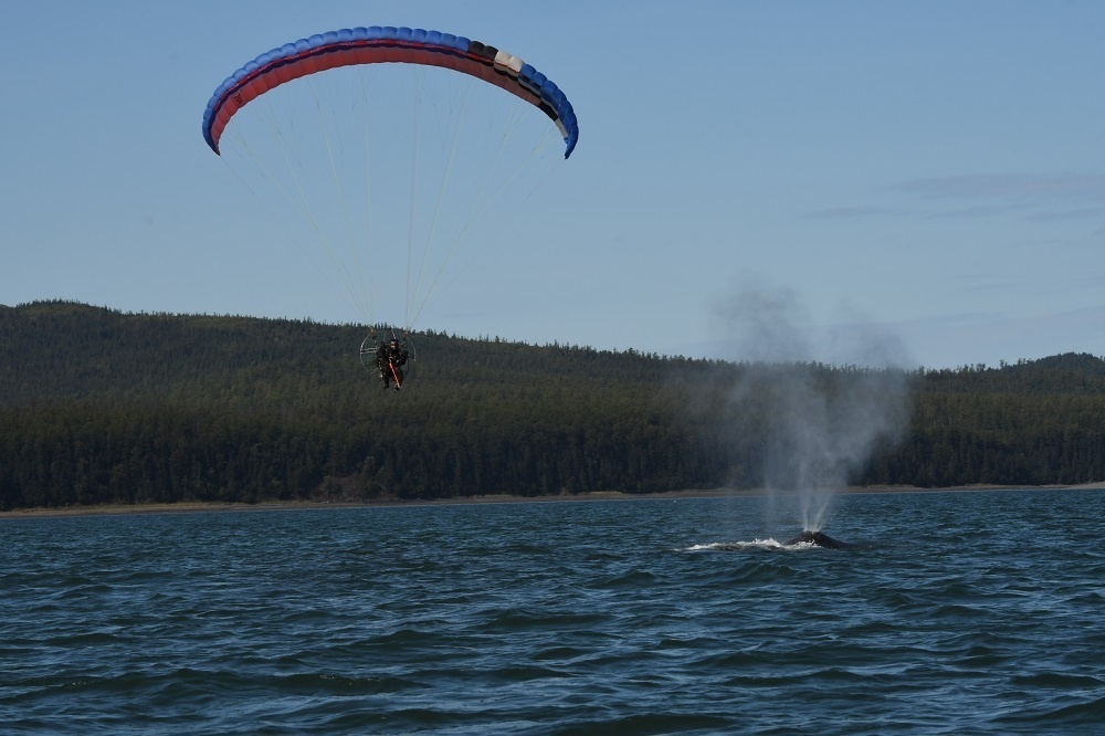 Фото: Фонд "Природа и люди" ИПЭЭ РАН