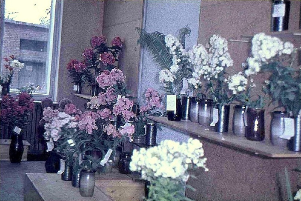 Фотография  выставки из архива секции "Флоксы"