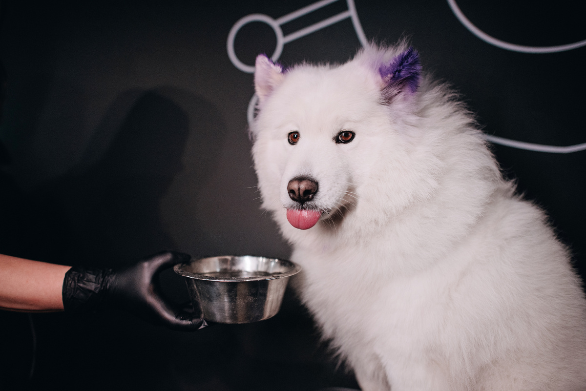 Креативный груминг