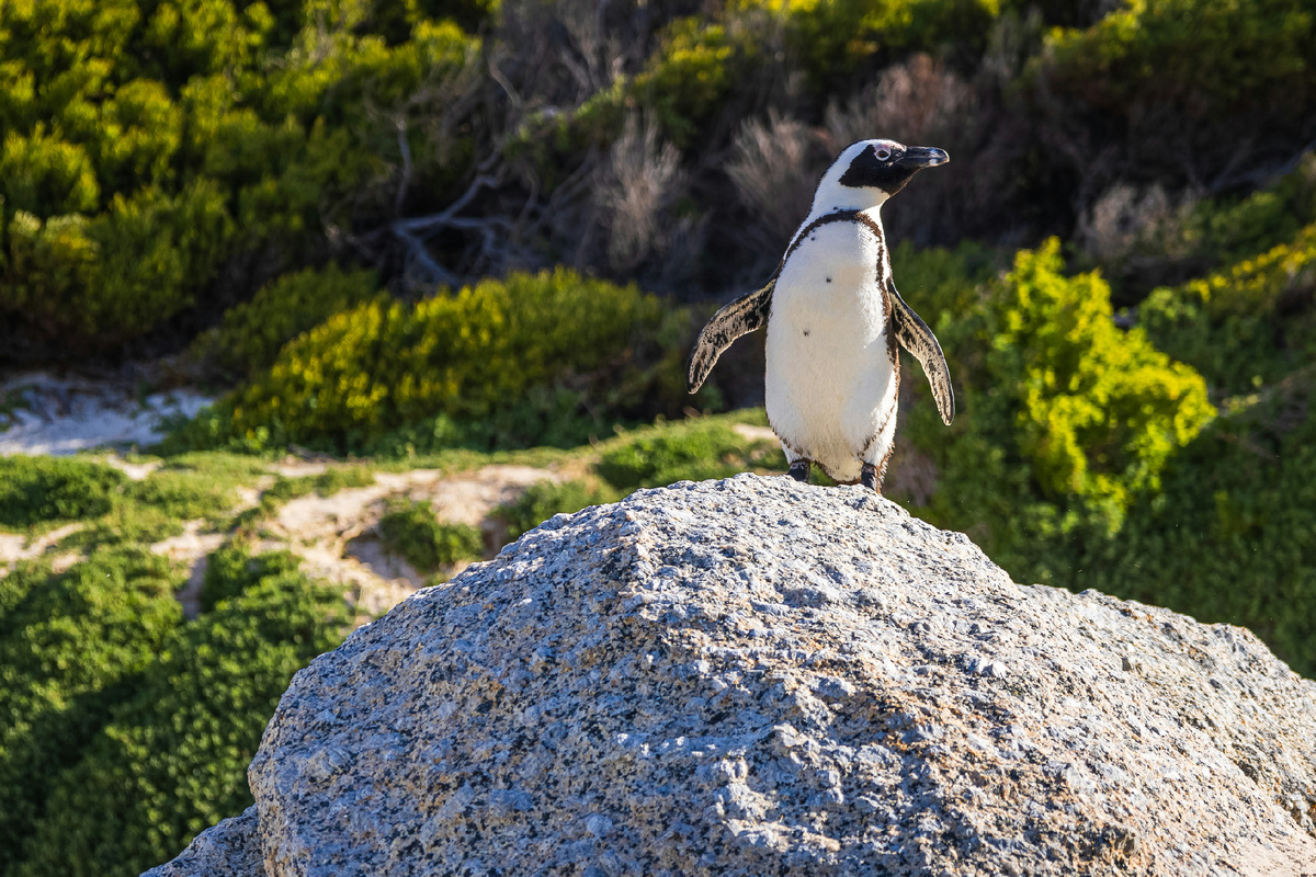 Картинка с бесплатного фотостока https://unsplash.com, автор Martijn Vonk
