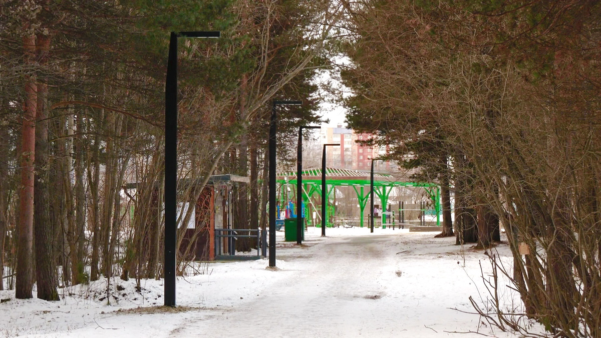    Освещение поможет снизить преступность в сургутском парке «За Саймой»