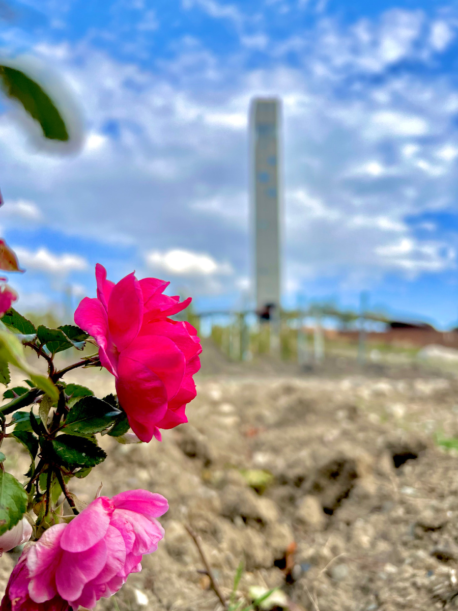 Винный парк/Winepark BY MRYIA RESORT & SPA