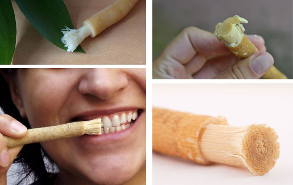 Мисвак для зубов 