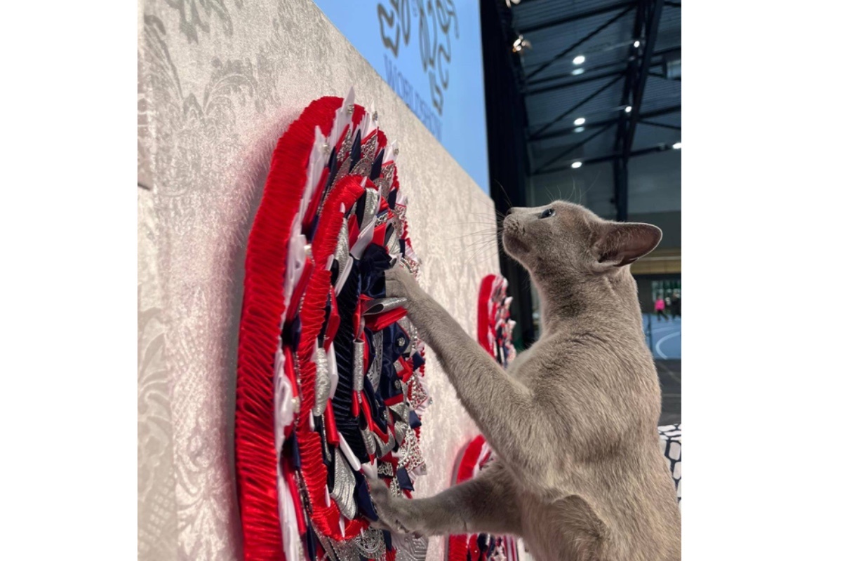    joanna.kowalczyk.568632 / Facebook (входит в корпорацию Meta, признана экстремистской и запрещена в России)