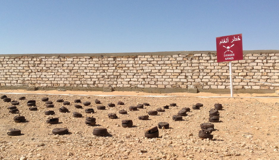 "Сады дьявола" это не только биологический термин из Южной Америки