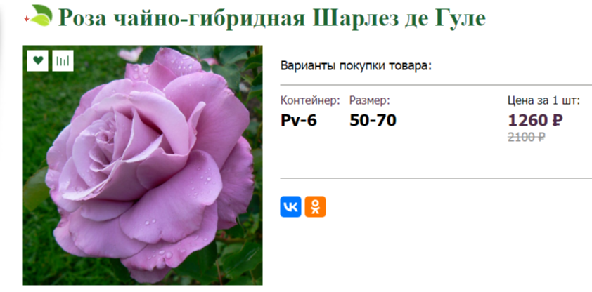 Объявление в июле 2024 года