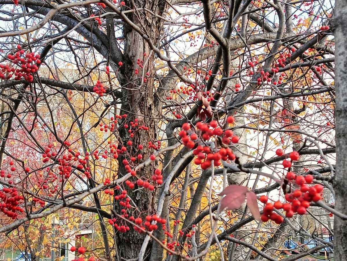 Праздничное настроение