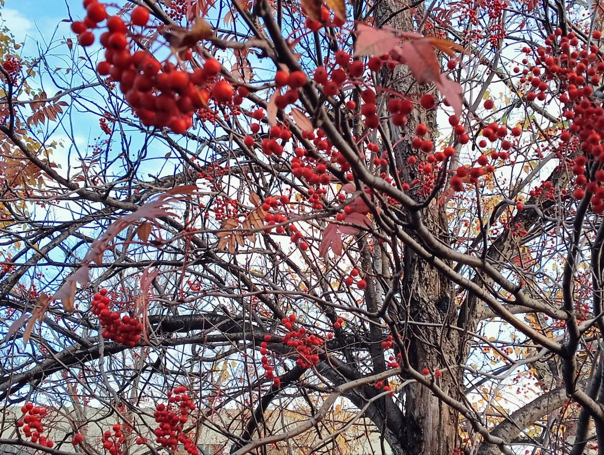 Мне очень нравится