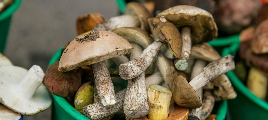    Фото: Фoto News