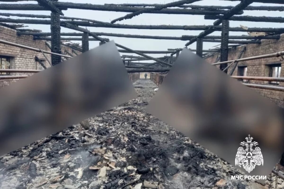    Неосторожность при обращении с огнем погубила 19 коров в Тверской области