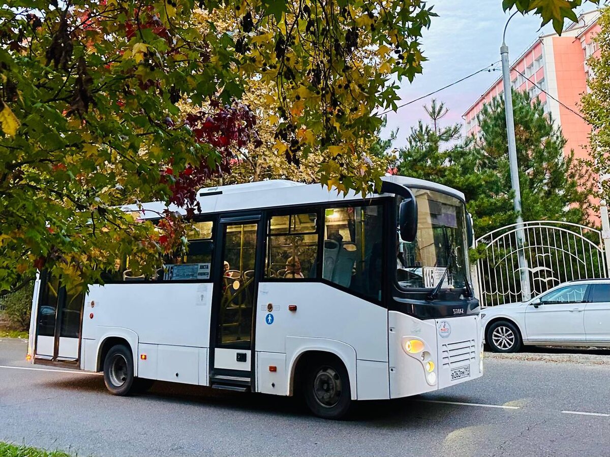    Фото: Telegram/Департамент транспорта и дорожного хозяйства Сочи