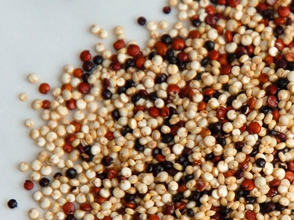 фото яндекс