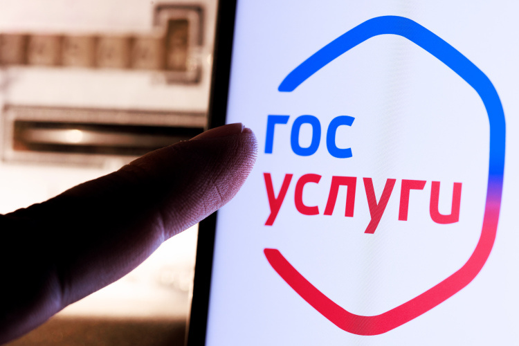    С 1 ноября заработала возможность получения справок об участии в СВО через портал госуслуг.   
Фото: «БИЗНЕС Online»