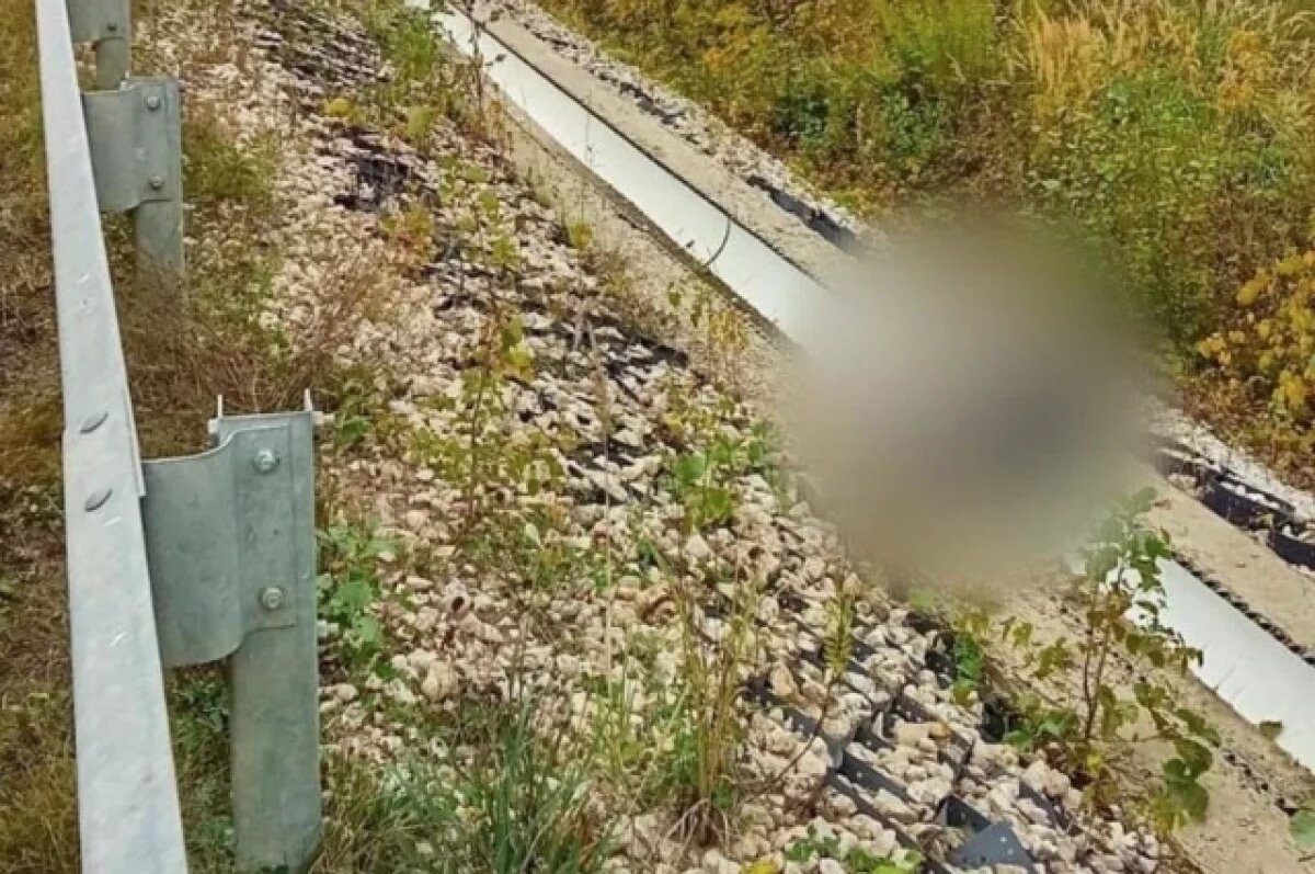    Тело нашли в канаве.